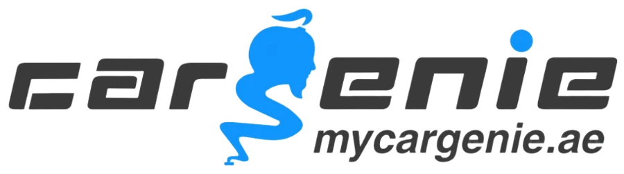 Client 13 - Pro4 client