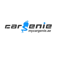 Client 13 - Pro4 client